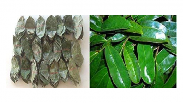 Soursop Leaves Combo Pack of 2 (50 Green Leaves + 50 Dry Leaves)