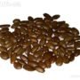 Soursop Seeds (Each Pack 100 Seeds) (Pack of 2) - Image 2
