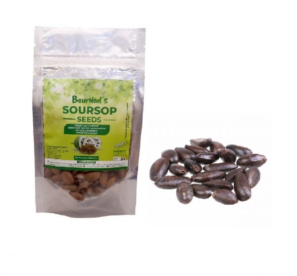 Soursop Seeds (100 NOS)